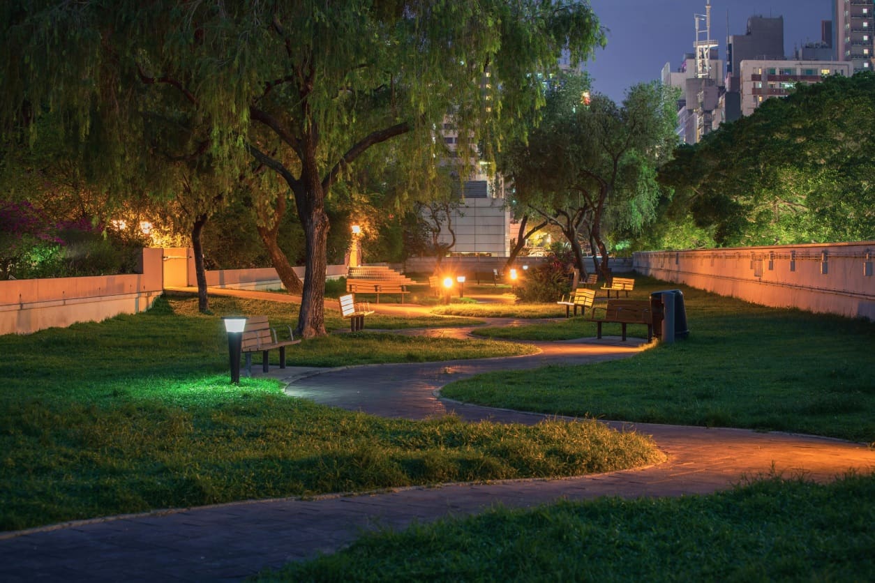 A park with lights and trees at night.