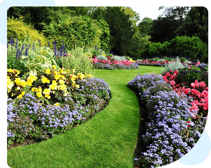 A garden with many flowers and grass