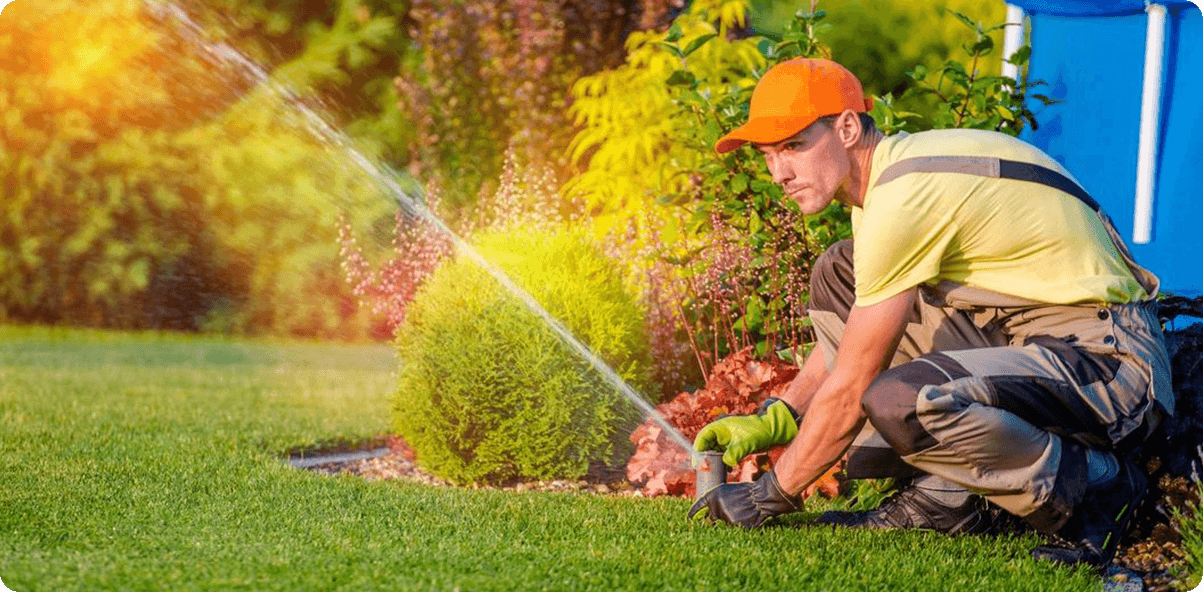 A man in an orange hat is watering the grass.